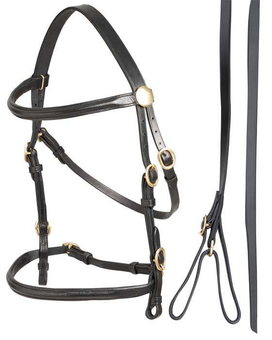 Bridle Led In & Lead Leather Aintree Brown [:cob]
