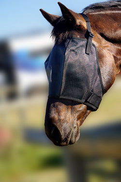 Flyveils By Design Mesh Fly Mask Black [:cob]