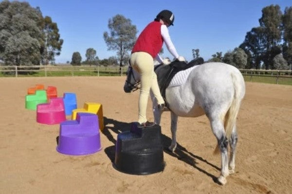 Mount Ease Agboss Purple 