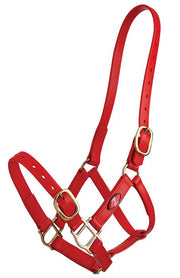 Headstall Plastic 25mm Zilco Full Red