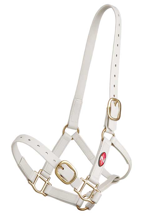 Headstall Plastic 25mm Zilco Full White 