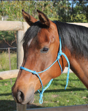Nungar Headstall Knotted 6mm Black [:cob]