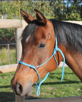 Nungar Headstall Knotted 6mm Black [:cob]