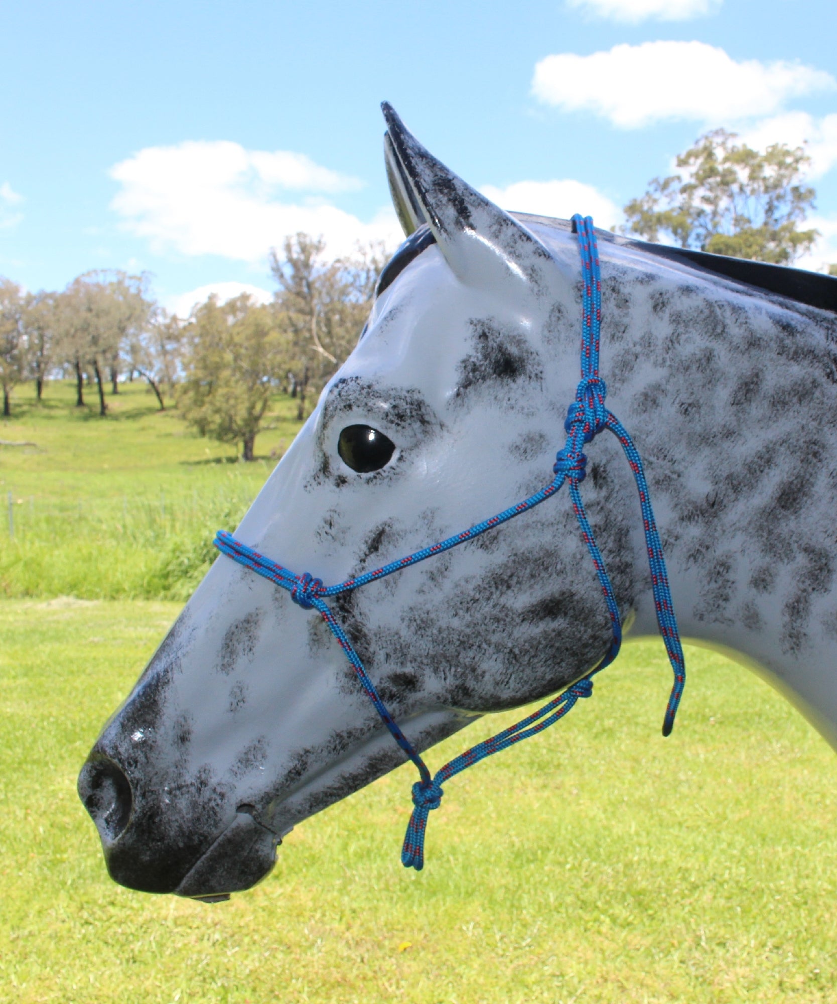 Nungar Headstall Knotted 6mm Blue & Red Fleck [:cob]