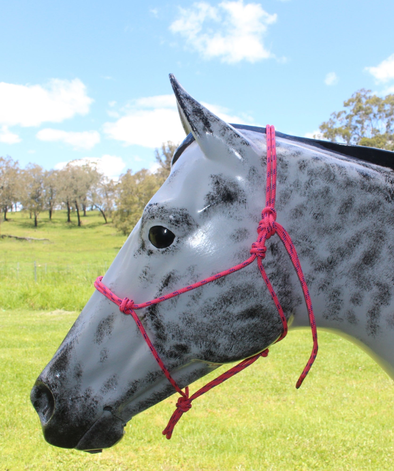 Nungar Headstall Knotted 6mm Pink & Purple Fleck [:cob]