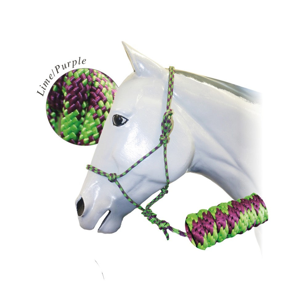 Halter & Lead Fort Worth [:black & Turquoise]
