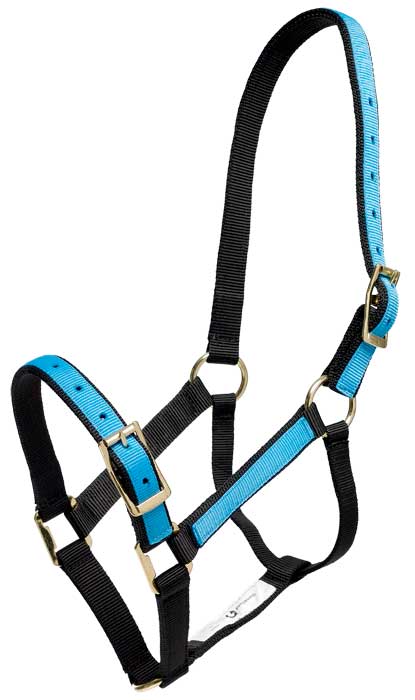 Headstall Overlay Blue & Black [:pony]