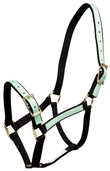 Headstall Overlay Mint & Black [:pony]
