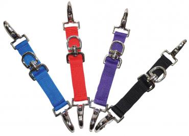 Lunge Strap Clip To Bit