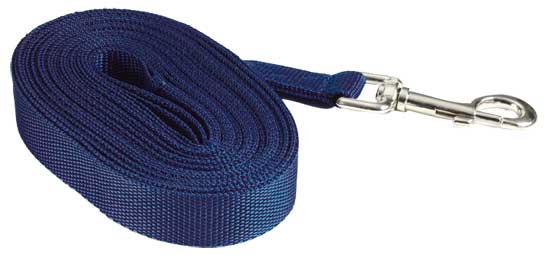Lunge Lead Webb Blue