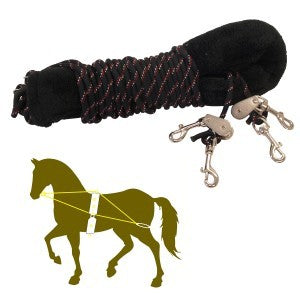 Training System Showmaster Cob/full
