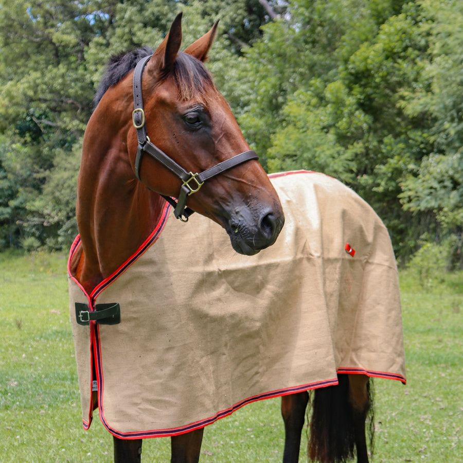 Jute Unlined Rug [:5'9"]