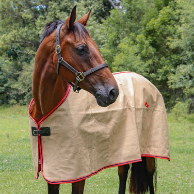 Jute Unlined Rug-Others-Ascot Saddlery