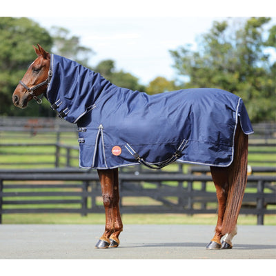 Kozy Combo 1200 Denier Navy 5'3"-Kozy-Ascot Saddlery