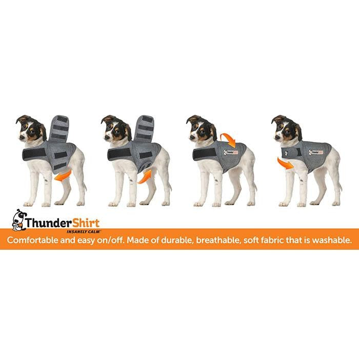 Thunder Anxiety Dog Shirt [:small]