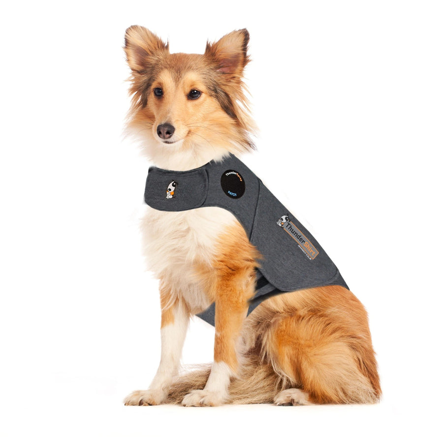 Thunder Anxiety Dog Shirt [:large]