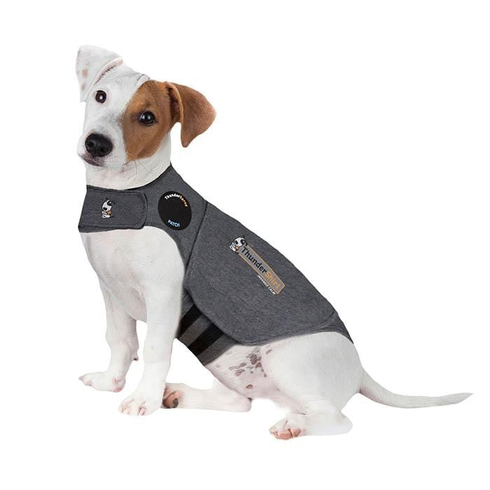 Thunder Anxiety Dog Shirt [:large]