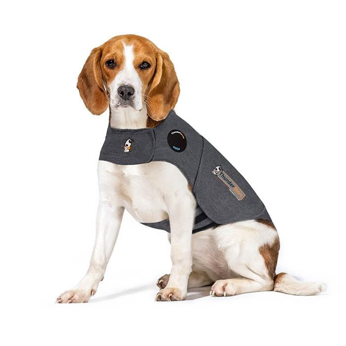 Thunder Anxiety Dog Shirt [:large]