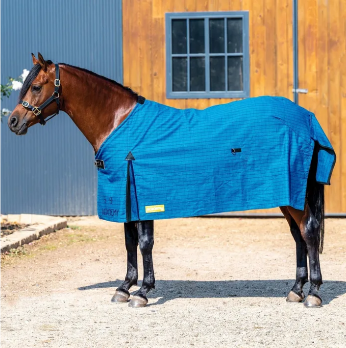 Canvas Rug Academy [:4'3"]