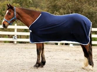 Polar Fleece Rug Blue [:5'6"]