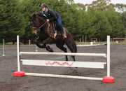 Jump Ferrari Wonder Wing