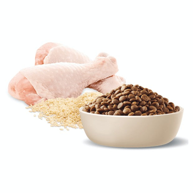 Advance Dog Puppy Chicken Medium Breed 3kg