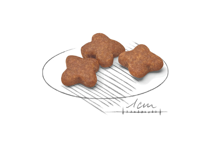 Royal Canin Dog Mini Adult 8+ 2 Kg