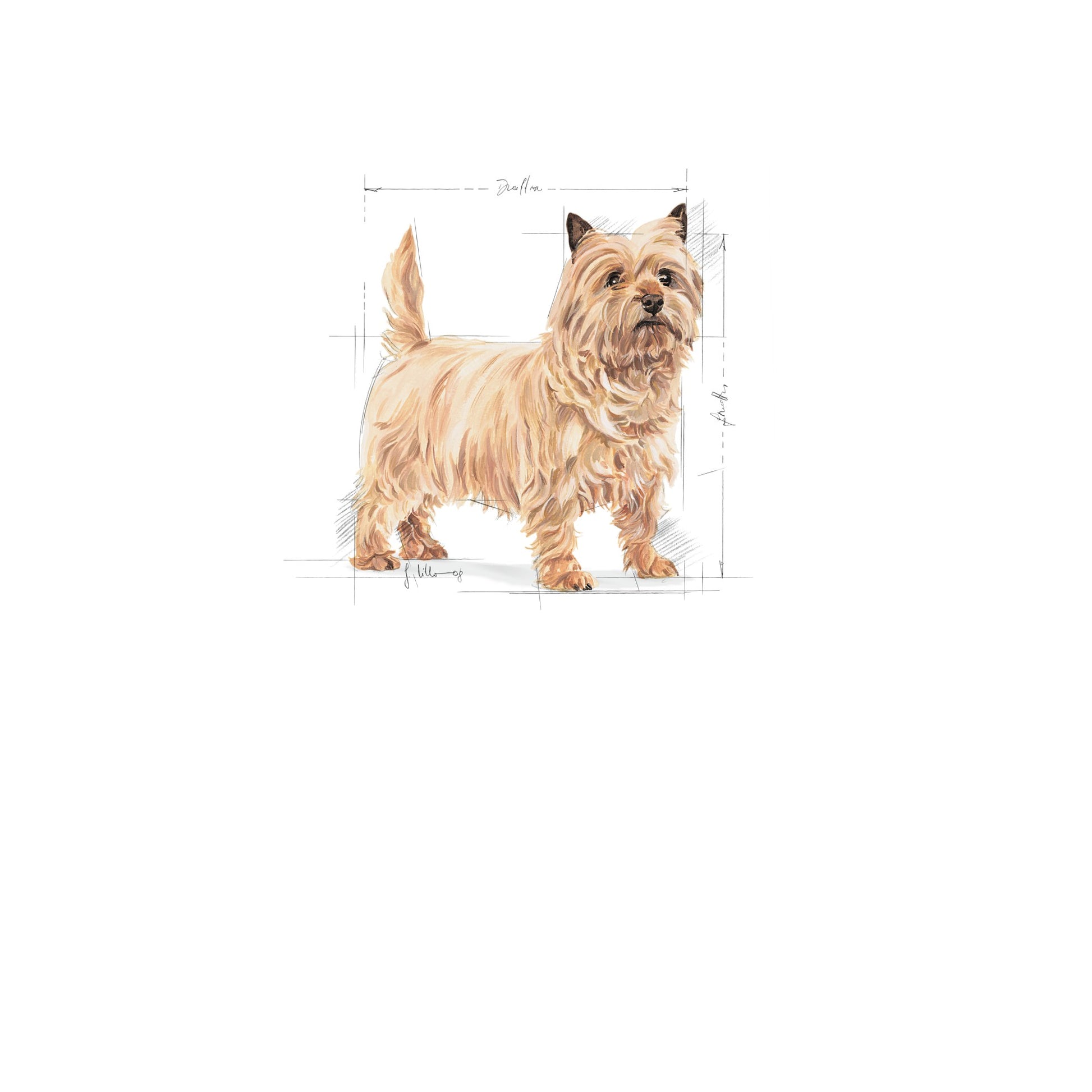 Royal Canin Dog Mini Lightweight Care 3kg