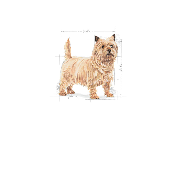 Royal Canin Dog Mini Lightweight Care 3kg