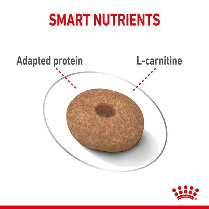 Royal Canin Dog Mini Lightweight Care 3kg