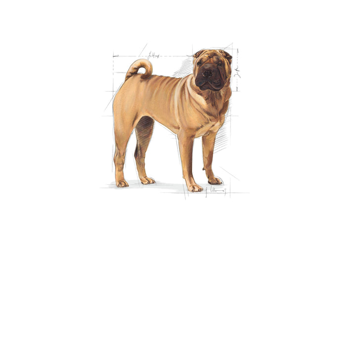 Royal Canin Dog Medium Dermacomfort 3kg 