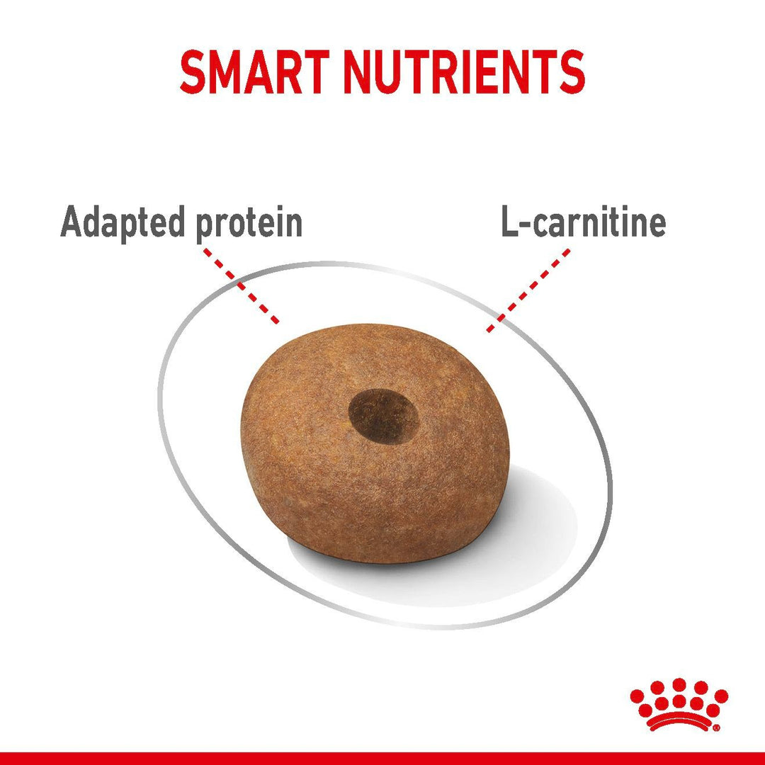 Royal Canin Dog Medium Lightweight Care 3kg 