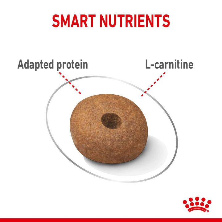 Royal Canin Dog Medium Lightweight Care 3kg 