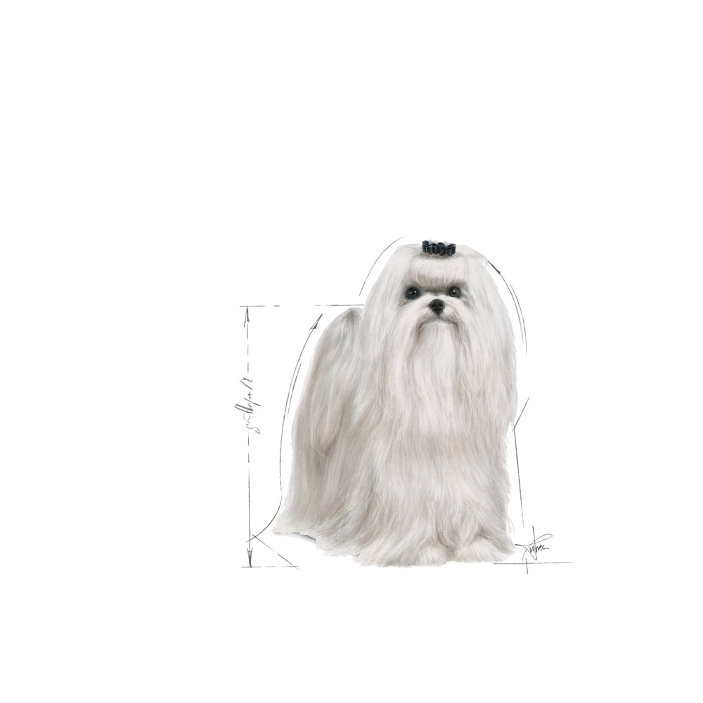Royal Canin Dog Maltese 1.5kg