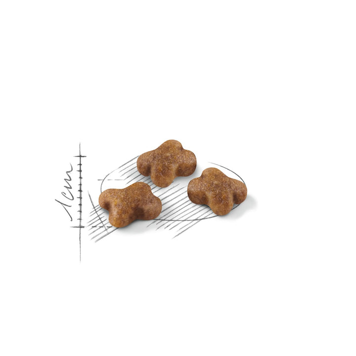 Royal Canin Cat Kitten 4kg 