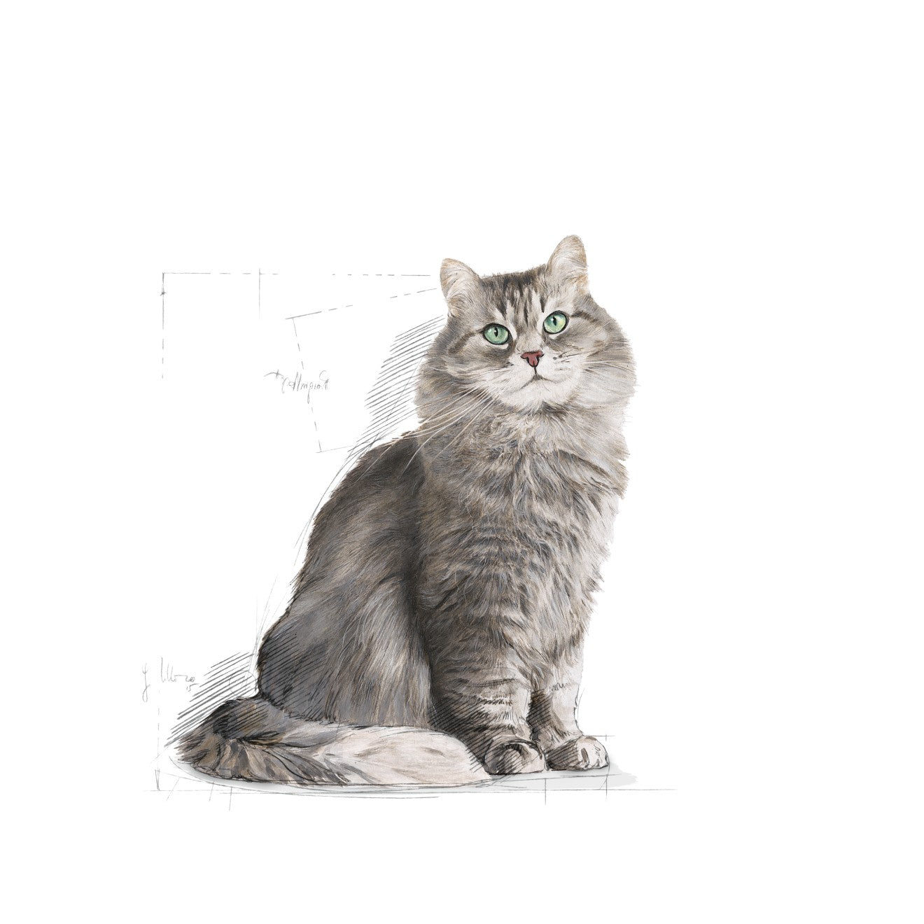 Royal Canin Cat Sensible 4kg 