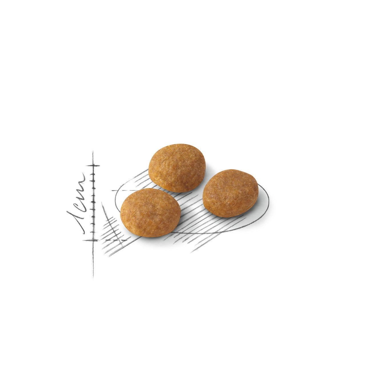 Royal Canin Cat Exigent Aromatic 2kg