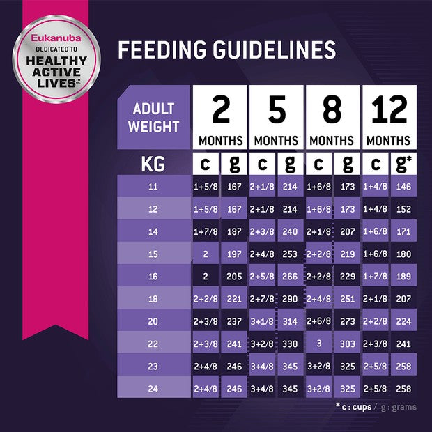 Eukanuba Dog Puppy Medium Breed 15kg