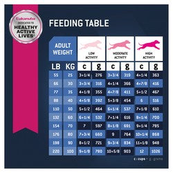 Eukanuba Dog Senior Large Breed 14kg
