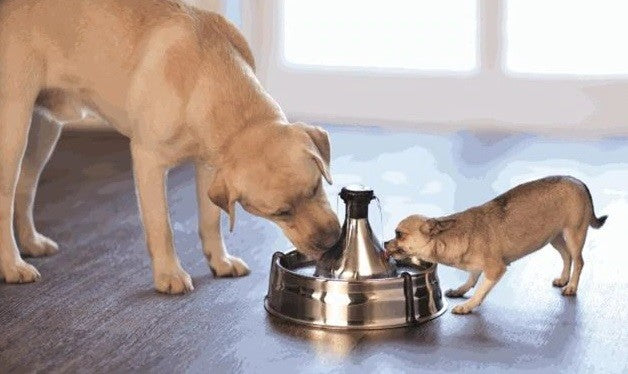 Drinkwell Pet Fountain 360 Degrees Stainless Steel