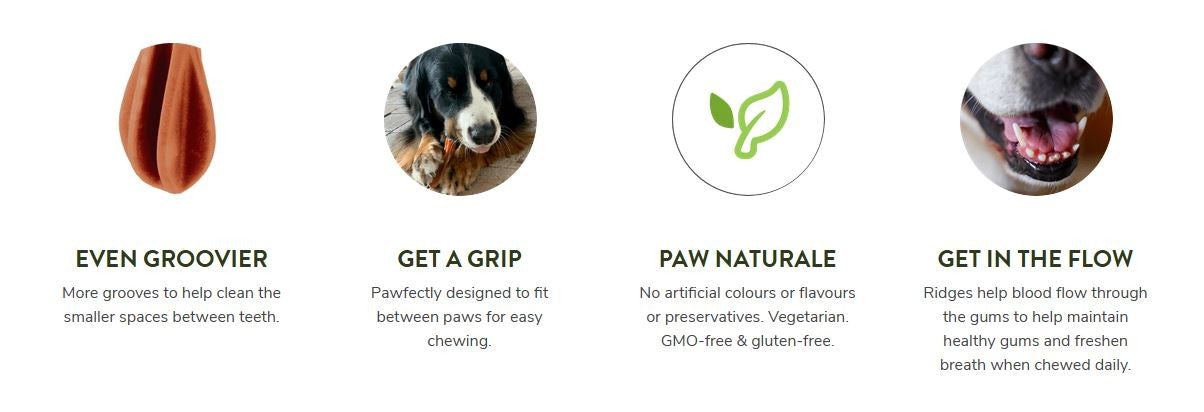 Whimzees Treat Toothbrush Star Value Bag 48 [:extra Small]