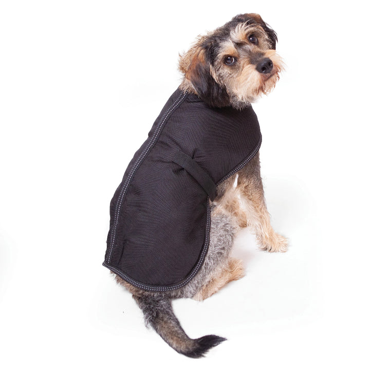 Kazoo Dog Rug Adventure Black [:46.5cm]