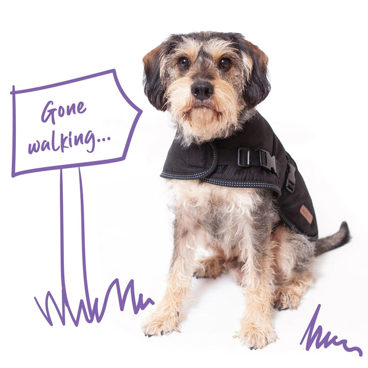 Kazoo Dog Rug Adventure Black [:46.5cm]