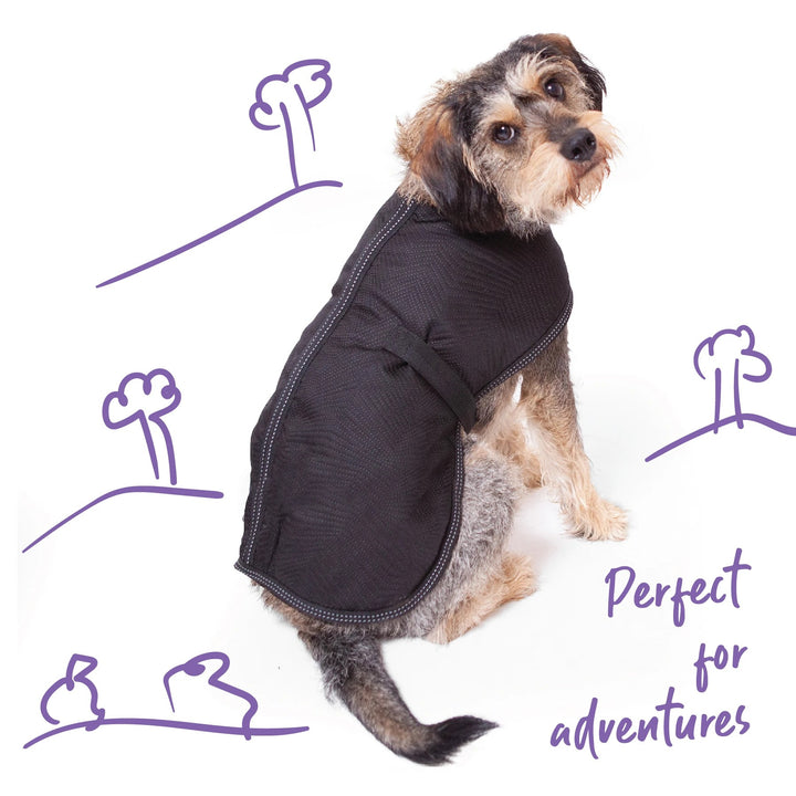 Kazoo Dog Rug Adventure Black [:53.0cm]
