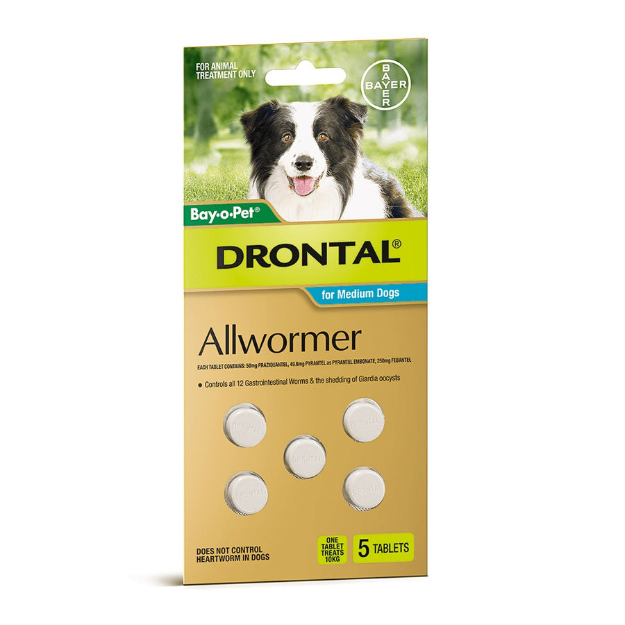 Wormer Drontal Chew 10kg Medium Dog 6 Pack