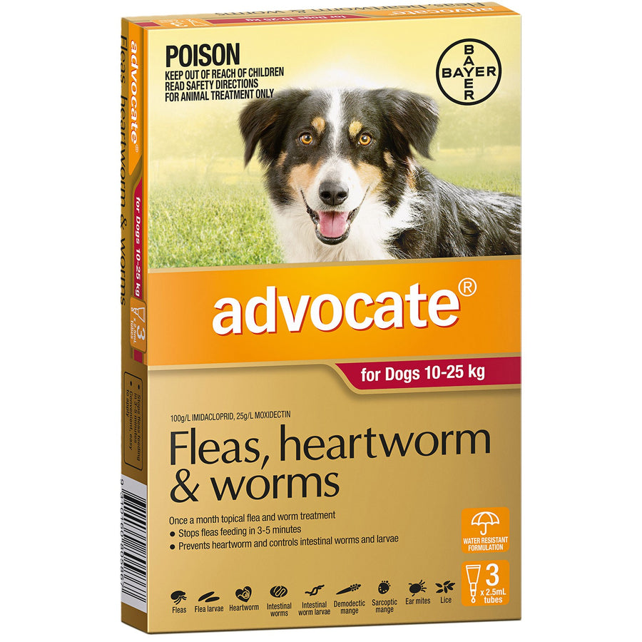 Advocate Dog 10kg-25kg Large 3 Pack