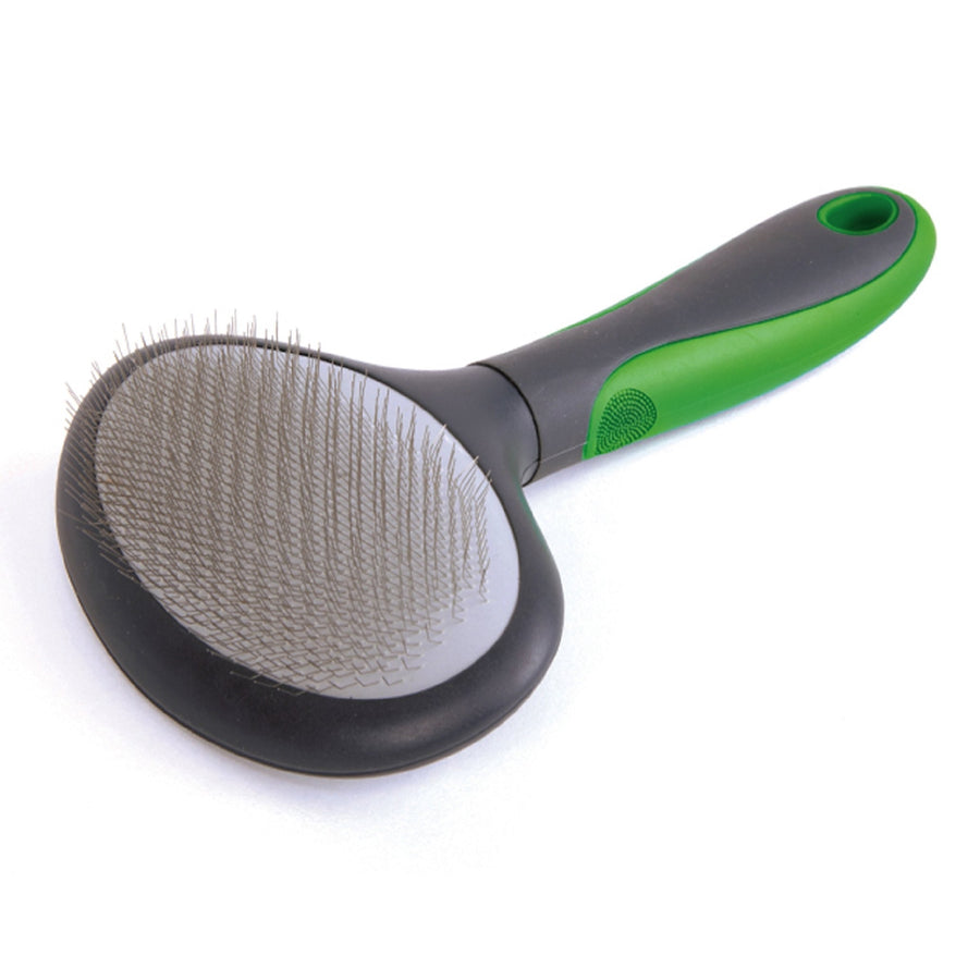 Dog Grooming Slicker Kazoo [:large]