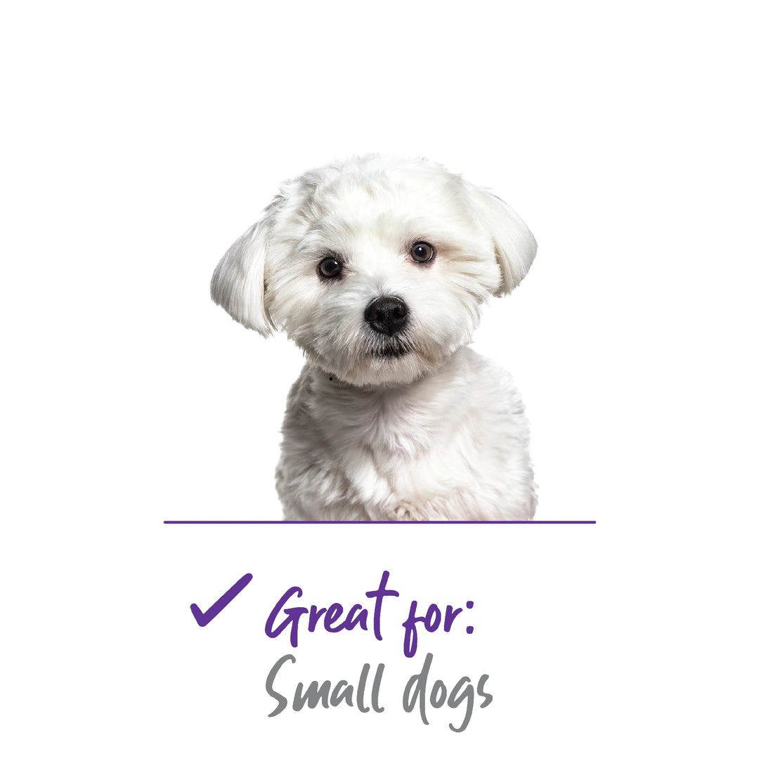 Dog Grooming Nail Clip Kazoo Guillotine