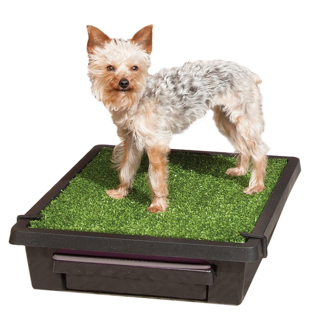 Pet Loo The [:small]