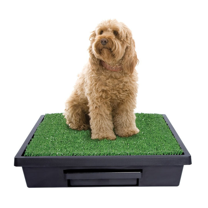 Pet Loo The [:medium]